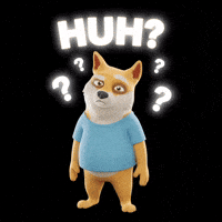 Shiba Inu What GIF by Doge Pound