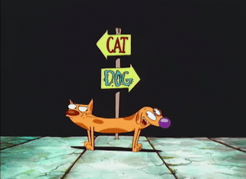 NICKELODEONLA giphyupload GIF