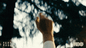 Tatiana Maslany Lawyer GIF by HBO