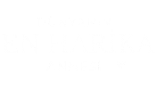 Mom Anne Sticker