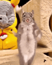 Daddy Sue GIF