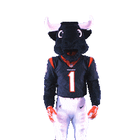 Football Cant See Sticker by Houston Texans