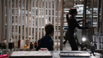 bonesonfox GIF by Bones