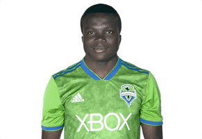 GIF by Seattle Sounders