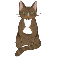 Cat Watching Sticker