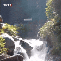 Fresh Air Water GIF by TRT