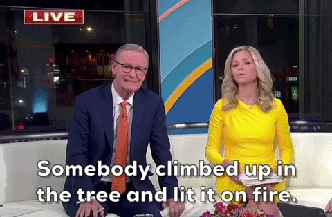 Fox News Fire GIF by GIPHY News