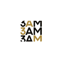 wildcardcreativegroup wildcard 3am wild card nocturne Sticker