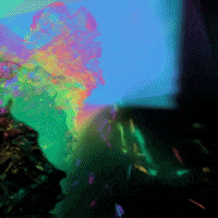 Party Flower GIF by Mollie_serena