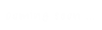 Working Coming Soon Sticker