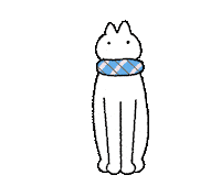 Cat Kitty Sticker