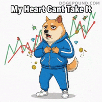 To The Moon Omg GIF by Doge Pound