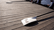 GIF by Temple Owls