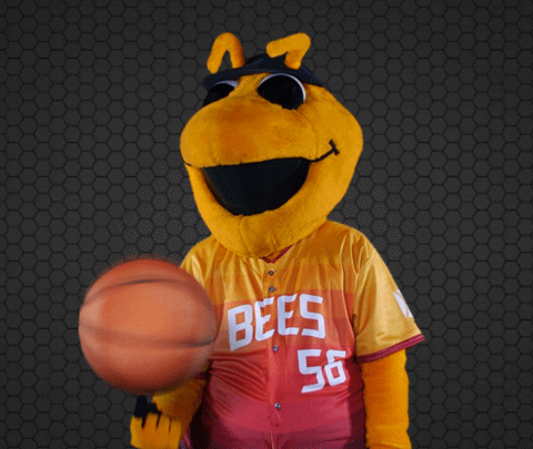 SaltLakeBees giphyupload basketball baseball mascot GIF