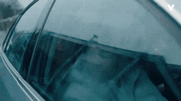 Mocromaffia Car Window GIF by Videoland
