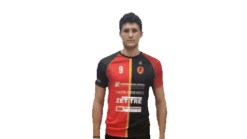 Volleyball Sticker by Volley Treviso