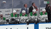 Celebrate Stanley Cup Playoffs GIF by FOX Sports Southwest