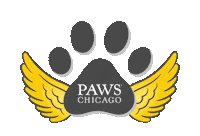 Angels With Tails Sticker by PAWS Chicago