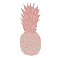 Pina Colada Pink Sticker by MissBeaut