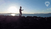 Arc Fencing GIF by All-Round Champion