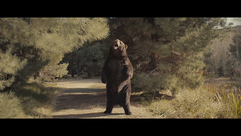 Tracy Morgan Superbowl GIF by ADWEEK