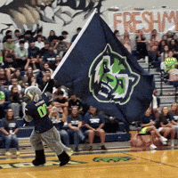 Whs GIF by WHSPTSO