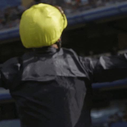 worldhorseracing happy celebration celebrate win GIF