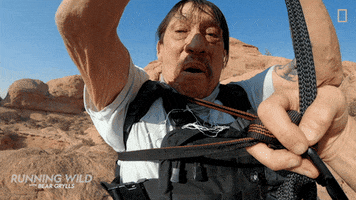 Runningwild GIF by National Geographic Channel