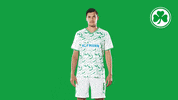 Whats Up What GIF by SpVgg Greuther Fürth
