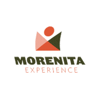 Traveling Mexico City Sticker by Morenita Experience