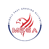 Megagrading Sticker by MEGA