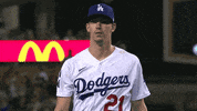 Los Angeles Sport GIF by MLB