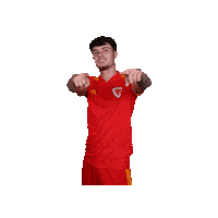 Euro 2020 Football Sticker by FA Wales