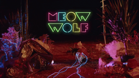 meowwolf giphyupload vegas las vegas meow wolf GIF