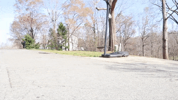 House Front Yard GIF by JC Property Professionals