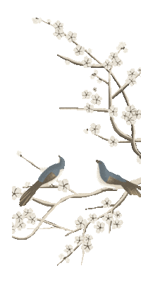 Cherry Blossom Bird Sticker