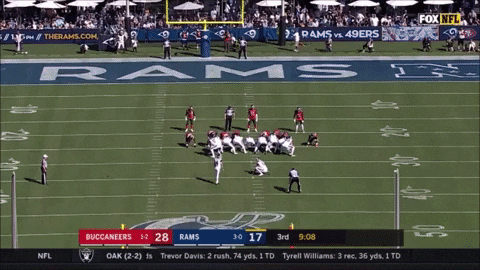 DH82 giphygifmaker rams GIF