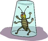 Trap Bug Sticker