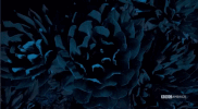 GIF by Vulture.com