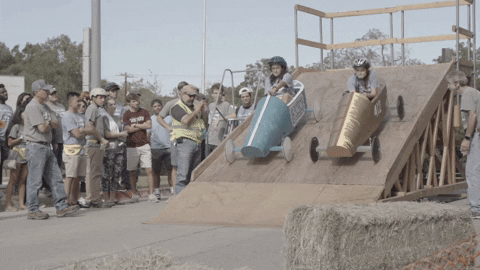 BobcatGifs giphyupload GIF