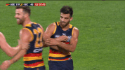 adelaidecrows goal reactions celebrations adelaide crows GIF