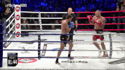 kick italy GIF by Bellator