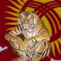 Kyrgyz GIF by Customize iT