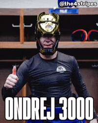 New York Islanders Hockey GIF
