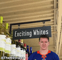 New York Islanders Hockey GIF