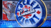 hockey refs GIF