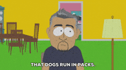 dogs pact GIF by South Park 