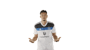 Soccer Hamburg Sticker by HSV