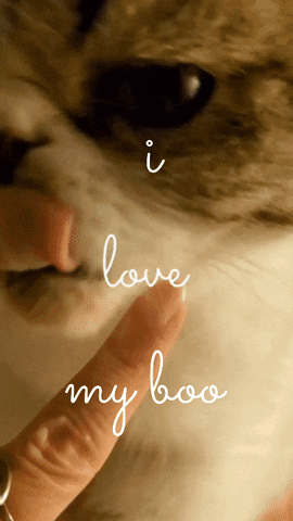 pete-the-cat i my boo GIF