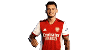 Celebrate Premier League Sticker by Arsenal